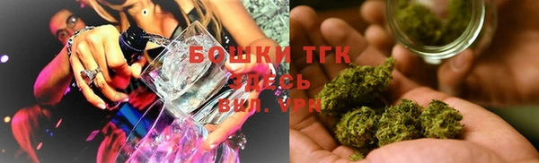 прущая мука Арсеньев