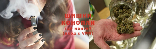 прущая мука Арсеньев