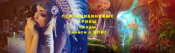прущая мука Арсеньев