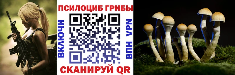 Псилоцибиновые грибы ЛСД  закладка  OMG tor  мориарти наркотические препараты  Певек 